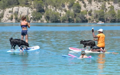 Nos activités estivales autour de l’eau