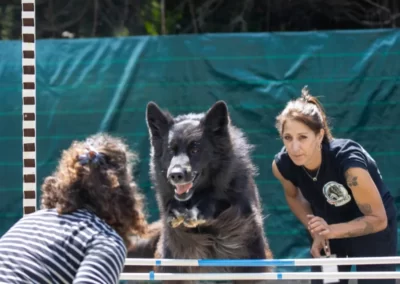 berger allemand qui saute des haies accompagné par sa maitresse et l'éducatrice canine