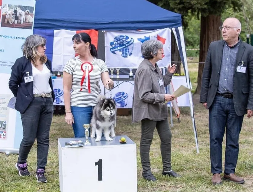 personnes composant un jury canin