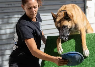 une educatrice entraine un chien