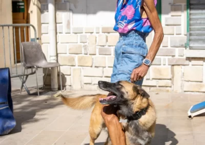 une maitresse entraine son chien